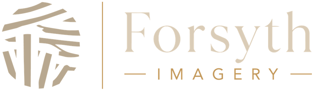 Forsyth Imagery